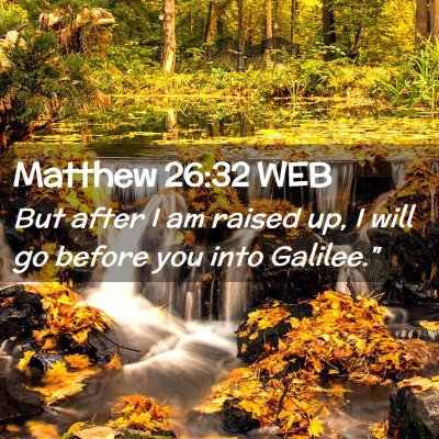 Picture 02 - Matthew 26:32 WEB - But after I am raised up, I will go before you - Bible Verse Picture