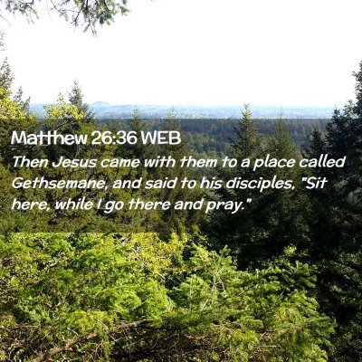 Picture 02 - Matthew 26:36 WEB - Then Jesus came with them to a place called - Bible Verse Picture