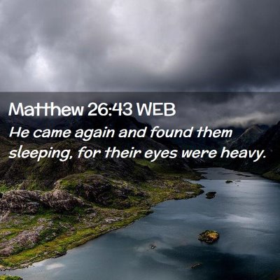 Picture 02 - Matthew 26:43 WEB - He came again and found them sleeping, for their - Bible Verse Picture