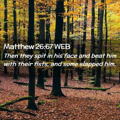 Picture 02 - Matthew 26:67 WEB - Then they spit in his face and beat him with - Bible Verse Picture