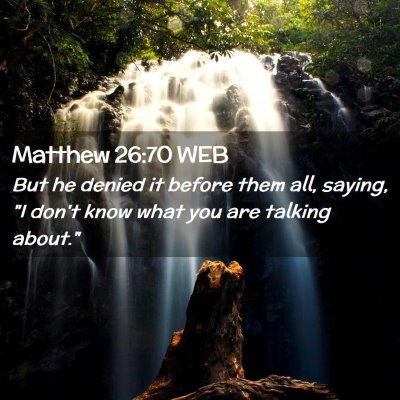 Picture 02 - Matthew 26:70 WEB - But he denied it before them all, saying, 