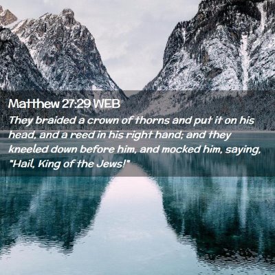 Picture 02 - Matthew 27:29 WEB - They braided a crown of thorns and put it on his - Bible Verse Picture
