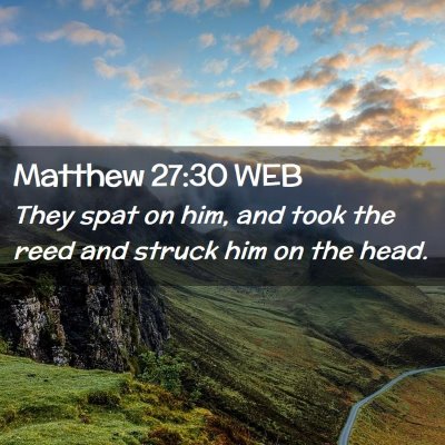 Picture 02 - Matthew 27:30 WEB - They spat on him, and took the reed and struck - Bible Verse Picture