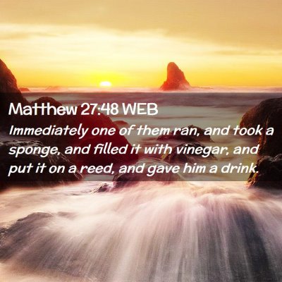 Picture 02 - Matthew 27:48 WEB - Immediately one of them ran, and took a sponge, - Bible Verse Picture