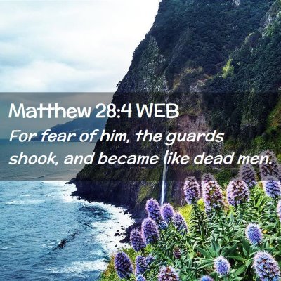 Picture 02 - Matthew 28:4 WEB - For fear of him, the guards shook, and became - Bible Verse Picture