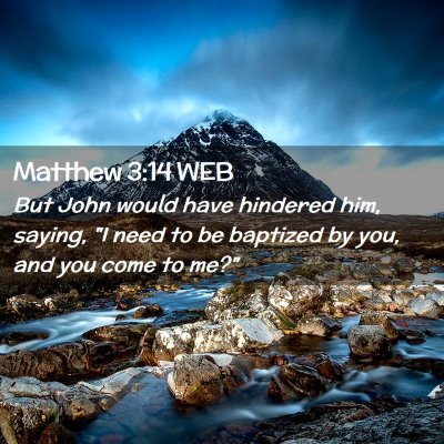 Picture 02 - Matthew 3:14 WEB - But John would have hindered him, saying, 