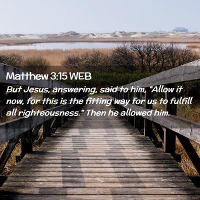 Picture 02 - Matthew 3:15 WEB - But Jesus, answering, said to him, 