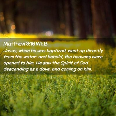 Picture 02 - Matthew 3:16 WEB - Jesus, when he was baptized, went up directly - Bible Verse Picture