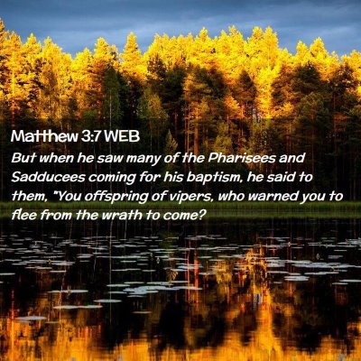 Picture 02 - Matthew 3:7 WEB - But when he saw many of the Pharisees and - Bible Verse Picture