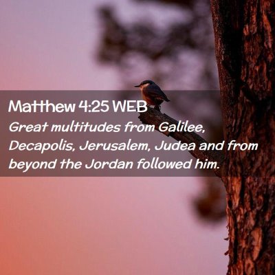 Picture 02 - Matthew 4:25 WEB - Great multitudes from Galilee, Decapolis, - Bible Verse Picture