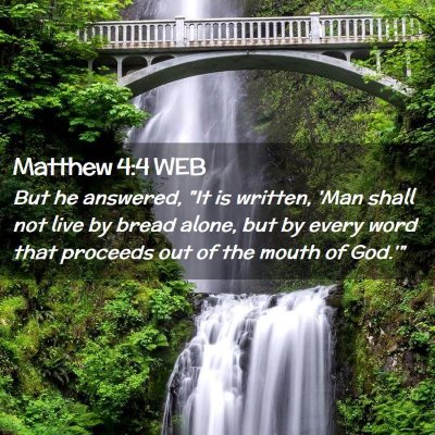 Picture 02 - Matthew 4:4 WEB - But he answered, 