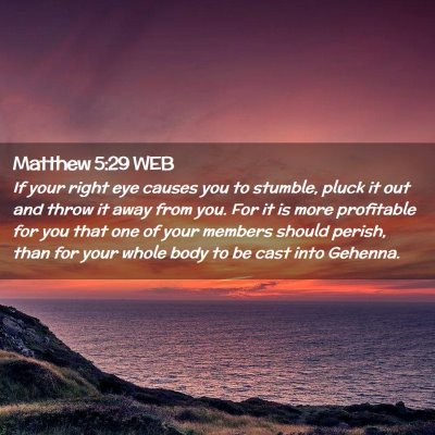 Picture 02 - Matthew 5:29 WEB - If your right eye causes you to stumble, pluck it - Bible Verse Picture