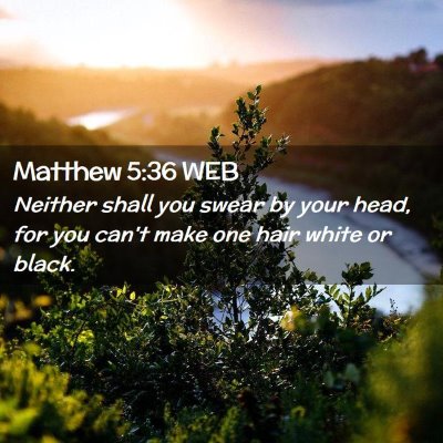 Picture 02 - Matthew 5:36 WEB - Neither shall you swear by your head, for you - Bible Verse Picture