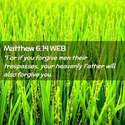 Picture 02 - Matthew 6:14 WEB - 