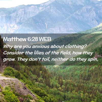 Picture 02 - Matthew 6:28 WEB - Why are you anxious about clothing? Consider the - Bible Verse Picture