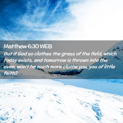 Picture 02 - Matthew 6:30 WEB - But if God so clothes the grass of the field, - Bible Verse Picture