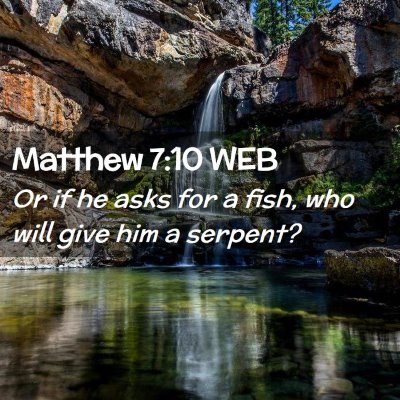 Picture 02 - Matthew 7:10 WEB - Or if he asks for a fish, who will give him a - Bible Verse Picture