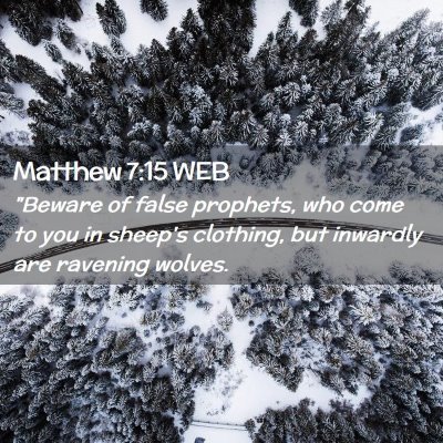 Picture 02 - Matthew 7:15 WEB - 