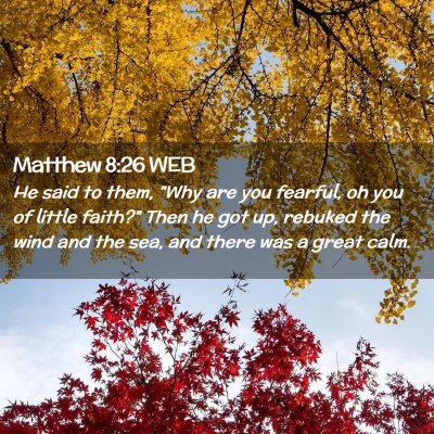 Picture 02 - Matthew 8:26 WEB - He said to them, 