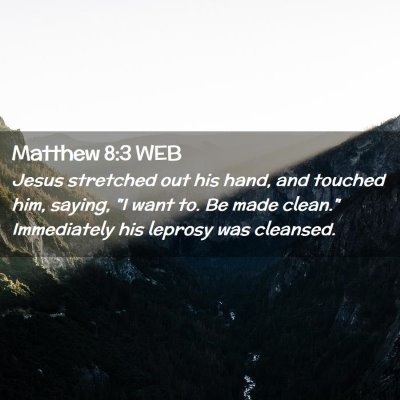 Picture 02 - Matthew 8:3 WEB - Jesus stretched out his hand, and touched him, - Bible Verse Picture