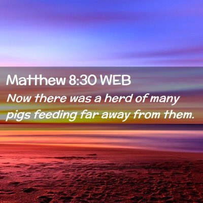 Picture 02 - Matthew 8:30 WEB - Now there was a herd of many pigs feeding far - Bible Verse Picture