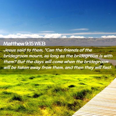 Picture 02 - Matthew 9:15 WEB - Jesus said to them, 