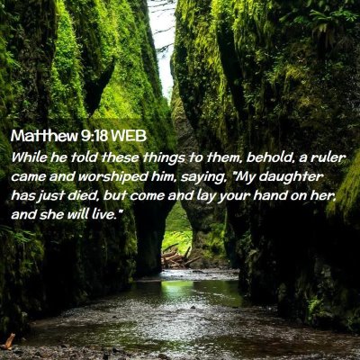 Picture 02 - Matthew 9:18 WEB - While he told these things to them, behold, a - Bible Verse Picture
