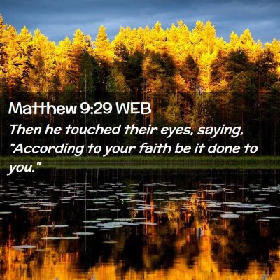 Picture 02 - Matthew 9:29 WEB - Then he touched their eyes, saying, 