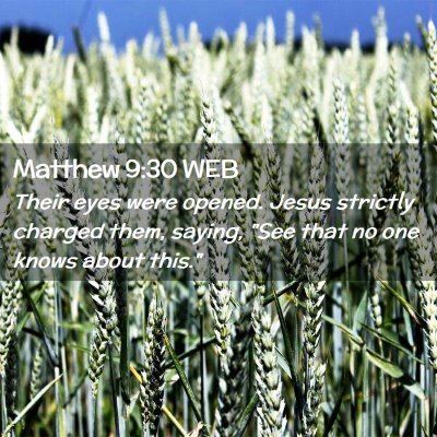 Picture 02 - Matthew 9:30 WEB - Their eyes were opened. Jesus strictly charged - Bible Verse Picture