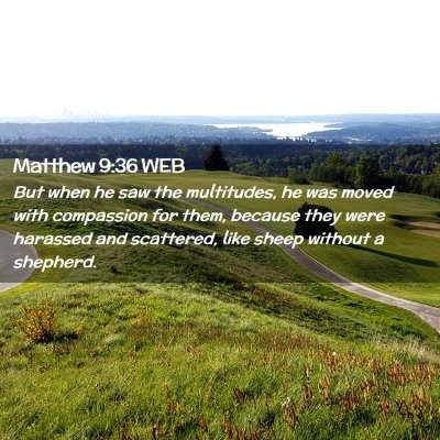 Picture 02 - Matthew 9:36 WEB - But when he saw the multitudes, he was moved with - Bible Verse Picture