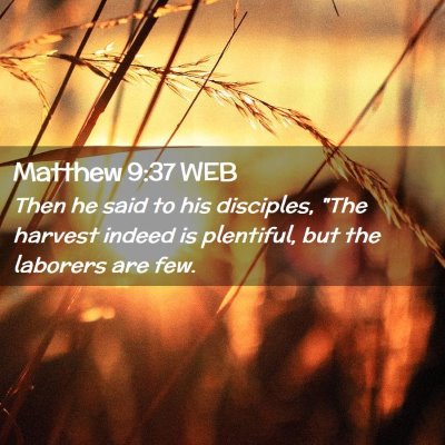 Picture 02 - Matthew 9:37 WEB - Then he said to his disciples, 