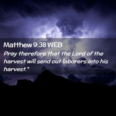 Picture 02 - Matthew 9:38 WEB - Pray therefore that the Lord of the harvest will - Bible Verse Picture