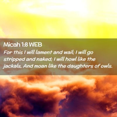 Picture 02 - Micah 1:8 WEB - For this I will lament and wail; I will go - Bible Verse Picture