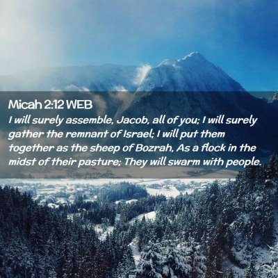 Picture 02 - Micah 2:12 WEB - I will surely assemble, Jacob, all of you; I will - Bible Verse Picture