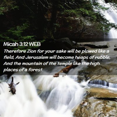 Picture 02 - Micah 3:12 WEB - Therefore Zion for your sake will be plowed like - Bible Verse Picture