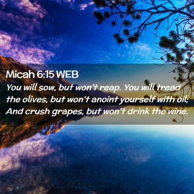 Picture 02 - Micah 6:15 WEB - You will sow, but won't reap. You will tread the - Bible Verse Picture