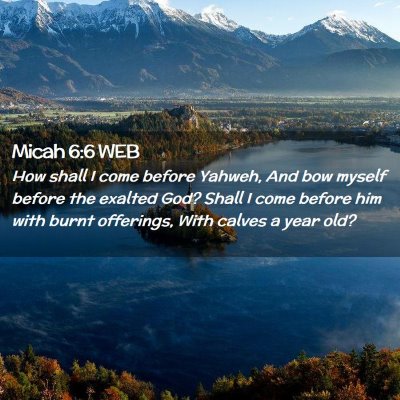 Picture 02 - Micah 6:6 WEB - How shall I come before Yahweh, And bow myself - Bible Verse Picture