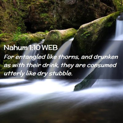 Picture 02 - Nahum 1:10 WEB - For entangled like thorns, and drunken as with - Bible Verse Picture