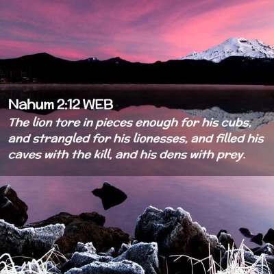Picture 02 - Nahum 2:12 WEB - The lion tore in pieces enough for his cubs, and - Bible Verse Picture