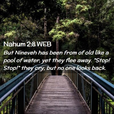 Picture 02 - Nahum 2:8 WEB - But Nineveh has been from of old like a pool of - Bible Verse Picture