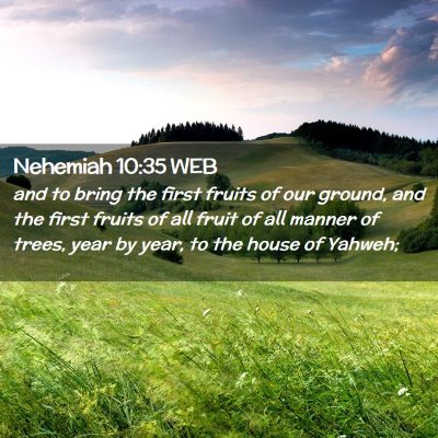 Picture 02 - Nehemiah 10:35 WEB - and to bring the first fruits of our ground, and - Bible Verse Picture
