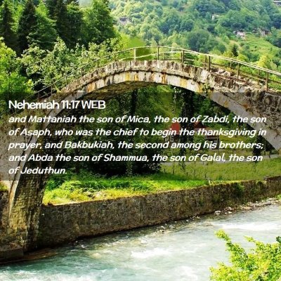 Picture 02 - Nehemiah 11:17 WEB - and Mattaniah the son of Mica, the son of Zabdi, - Bible Verse Picture