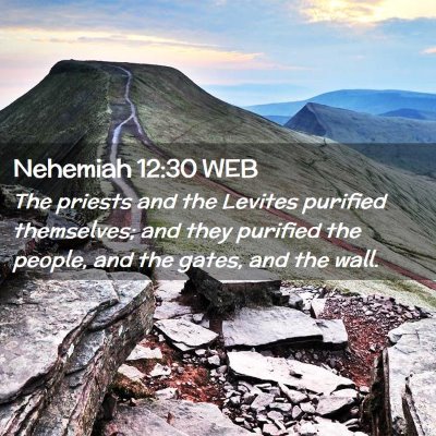 Picture 02 - Nehemiah 12:30 WEB - The priests and the Levites purified themselves; - Bible Verse Picture