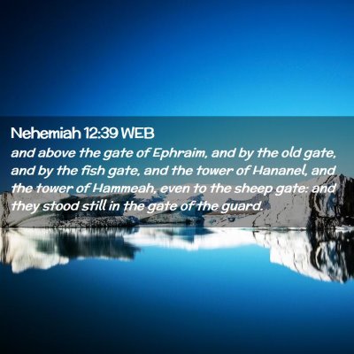Picture 02 - Nehemiah 12:39 WEB - and above the gate of Ephraim, and by the old - Bible Verse Picture