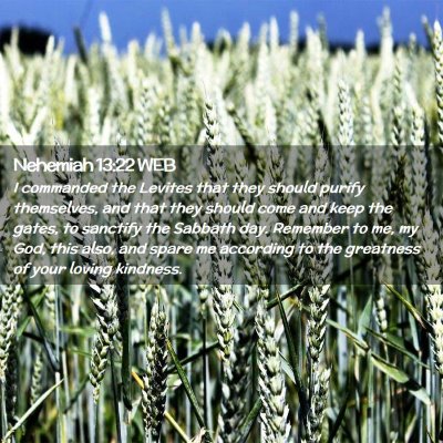 Picture 02 - Nehemiah 13:22 WEB - I commanded the Levites that they should purify - Bible Verse Picture
