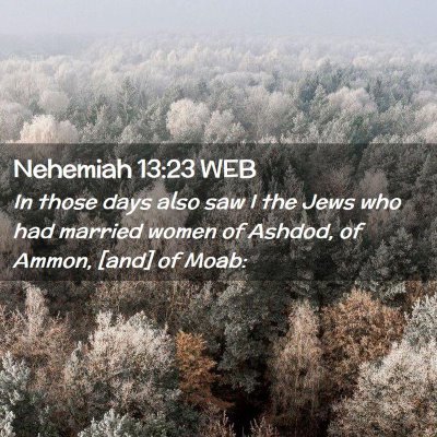 Picture 02 - Nehemiah 13:23 WEB - In those days also saw I the Jews who had married - Bible Verse Picture