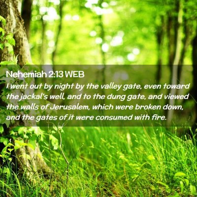 Picture 02 - Nehemiah 2:13 WEB - I went out by night by the valley gate, even - Bible Verse Picture