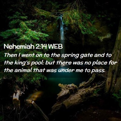 Picture 02 - Nehemiah 2:14 WEB - Then I went on to the spring gate and to the - Bible Verse Picture
