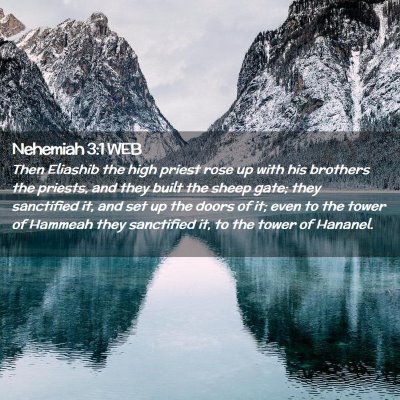 Picture 02 - Nehemiah 3:1 WEB - Then Eliashib the high priest rose up with his - Bible Verse Picture