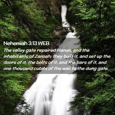 Picture 02 - Nehemiah 3:13 WEB - The valley gate repaired Hanun, and the - Bible Verse Picture
